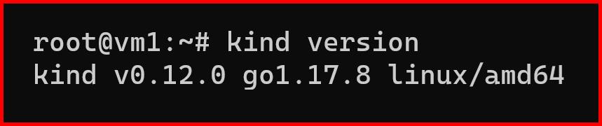 Picture showing the output of kind version command